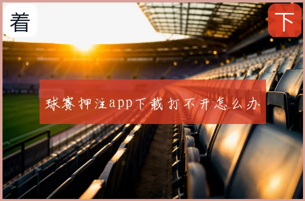 球赛押注app下载打不开怎么办