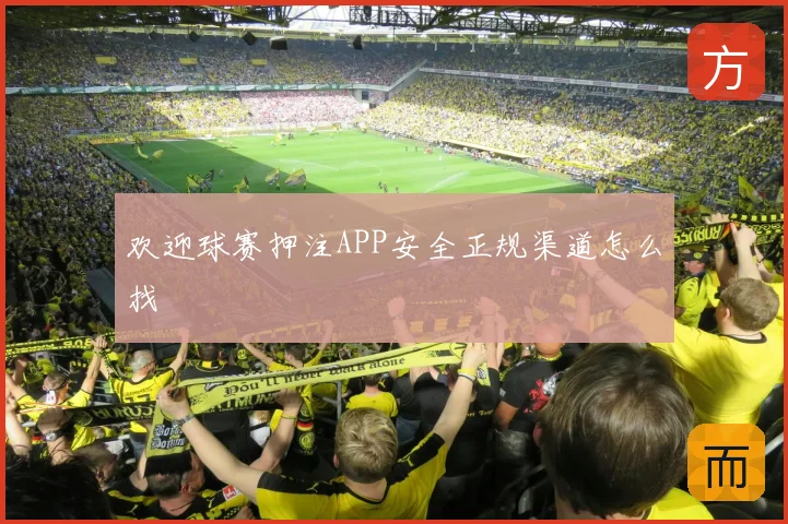 欢迎球赛押注APP安全正规渠道怎么找