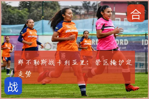 那不勒斯战卡利亚里:禁区掩护定走势